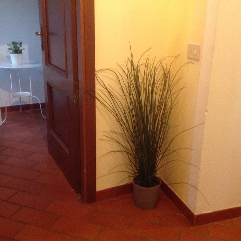 Tuscany House Centro Citta Apartamento Pisa Exterior foto